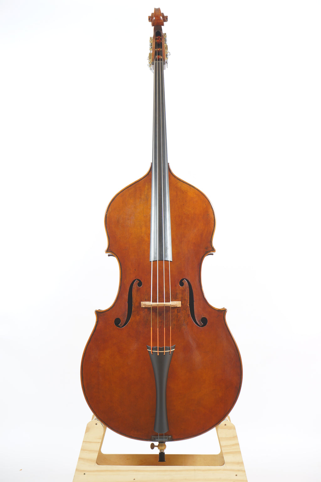 Marco Norri 2024 コントラバス【マルコ ノッリ】 – Atelier Tetsu