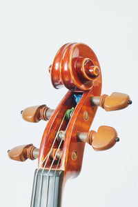 Laura Vigato 1995 バイオリン【ラウラ ビガート】